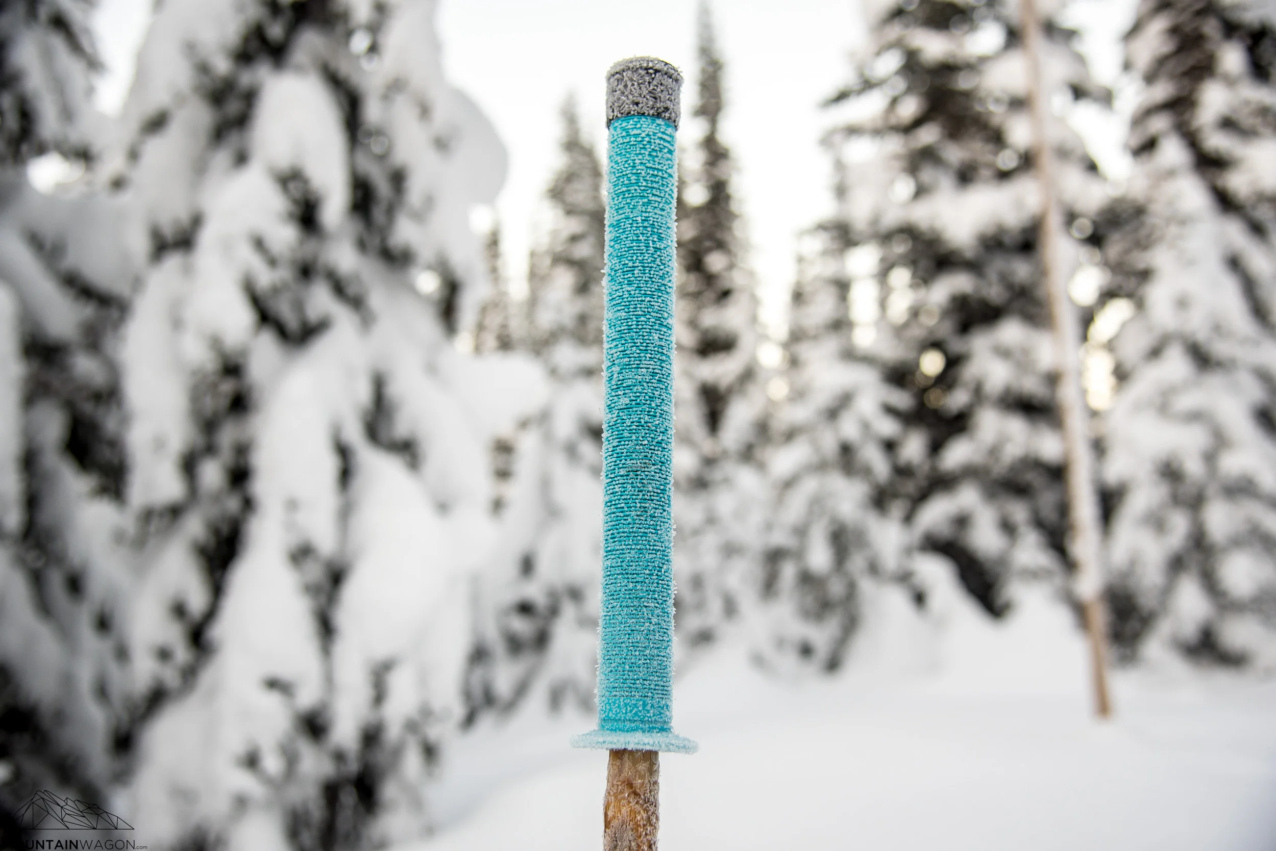 Review: Panda Poles — Mountain Wagon